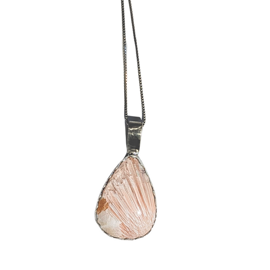 A teardrop-shaped pendant necklace featuring a natural pinkish-orange seashell in a silver bezel setting, suspended from a thin silver chain against a plain white background.
